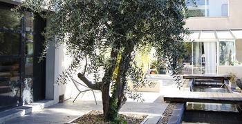 D'hotes Ambrosia Et 3* Narbona